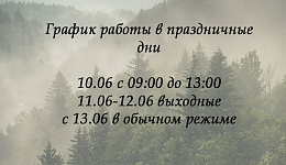 График работы на 12.06.2023 Новосибирск/Казань
